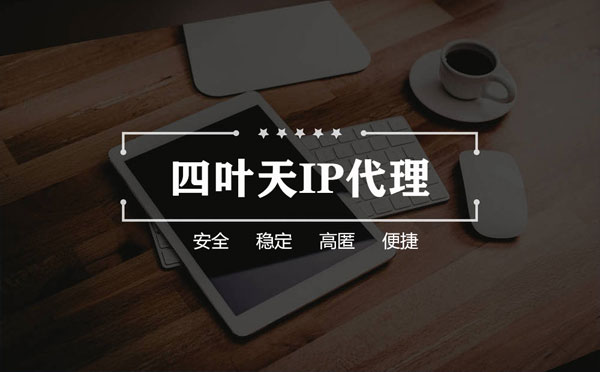 【邳州代理IP】如何快速搭建代理IP？怎么检查代理的效果？